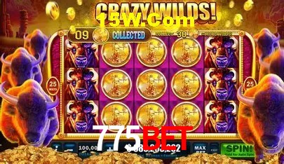 775 Bet Casino